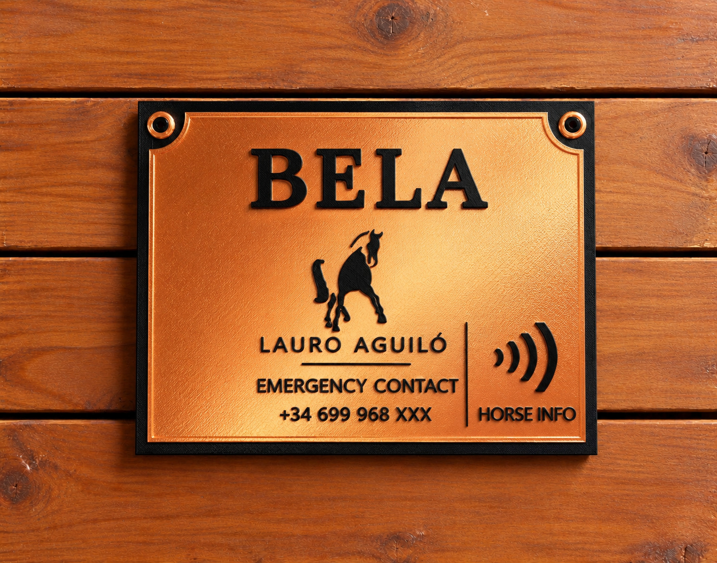 Placa de concurso